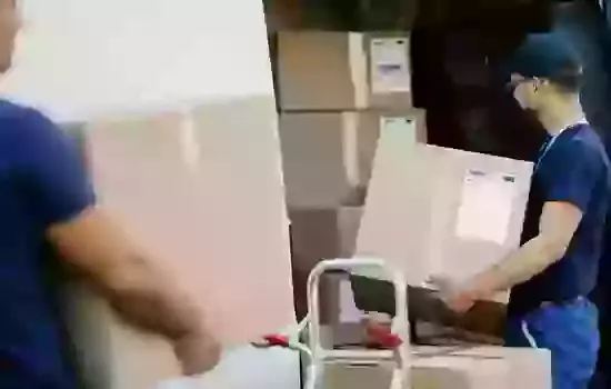 Navigating Expiry and Batch Tracking: Essential Tips for Pet and Vitamin Vendors